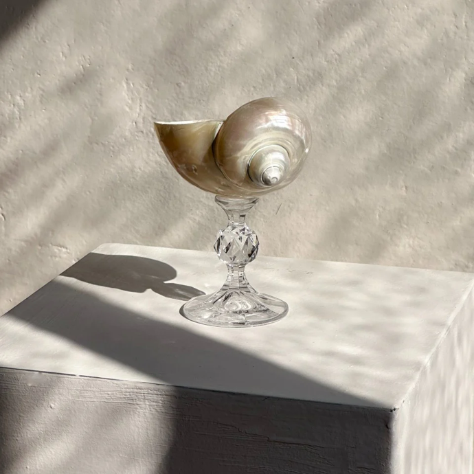 Ariel Pearl Snail sklenice, Artiseme, 1 700 Kč