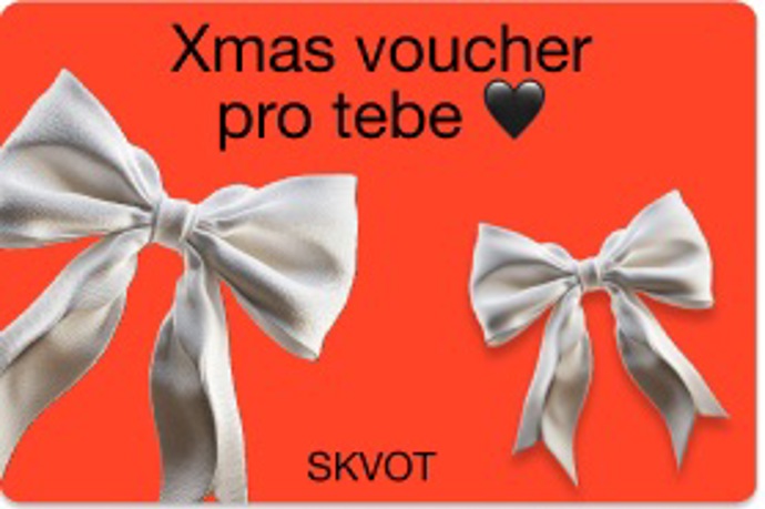 Dárkový voucher na kurzy pro kreativce od platformy SKVOT