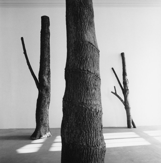 Giuseppe Penone Giuseppe Penone