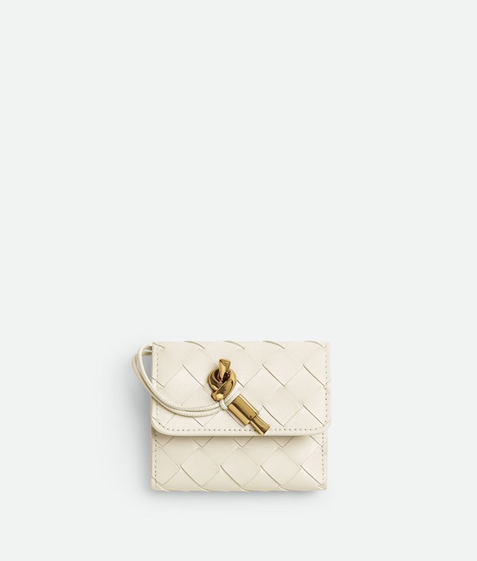  Peněženka Andiamo Tri-Fold Zip Wallet, Bottega Veneta, 890 eur