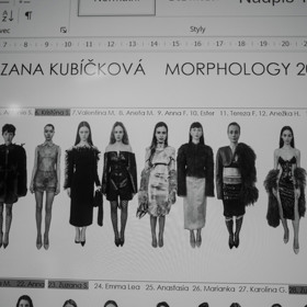 Zuzana Kubíčková Morphology 2025 Zuzana Kubíčková Morphology 2025