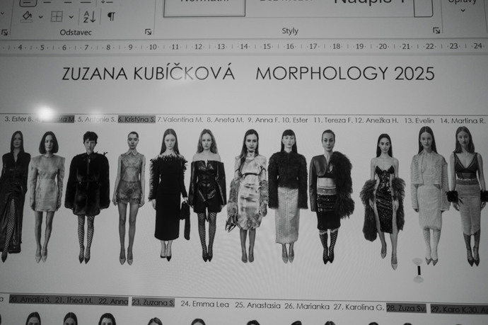 Zuzana Kubíčková Morphology 2025