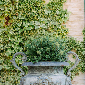 Villa Dom Carli Villa Dom Carli