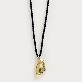 Atoll Conch Shell Black, Still life, 2 490 Kč