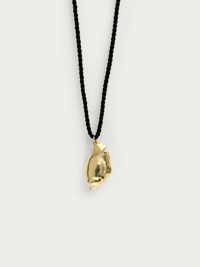 Atoll Conch Shell Black, Still life, 2 490 Kč