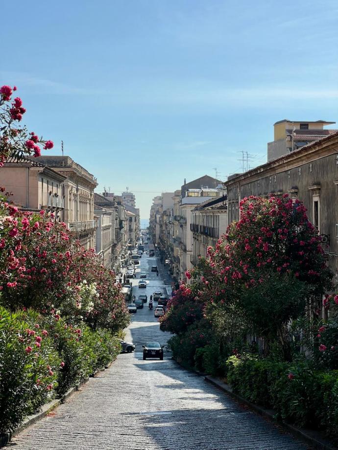 Catania