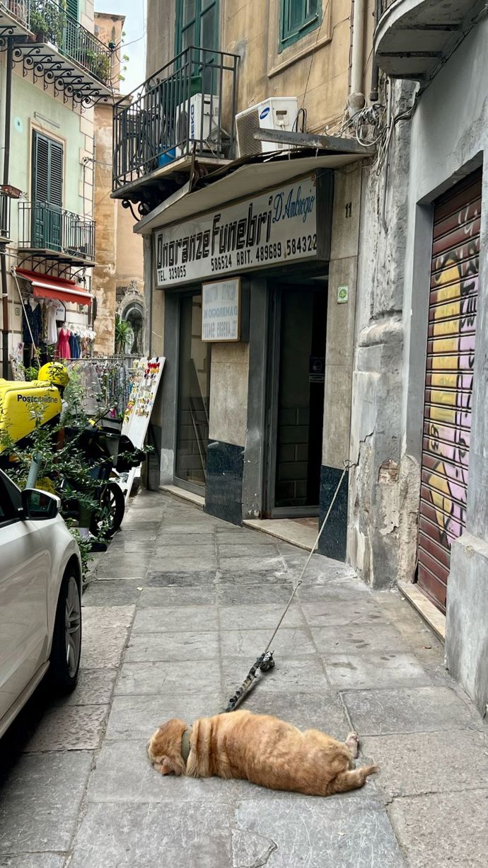 Palermo