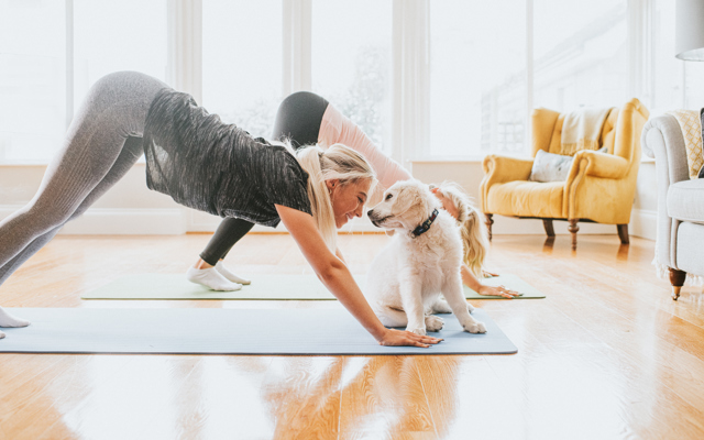 Lekce Pets Yoga, Pets Yoga Praha, 990 Kč Lekce Pets Yoga, Pets Yoga Praha, 990 Kč