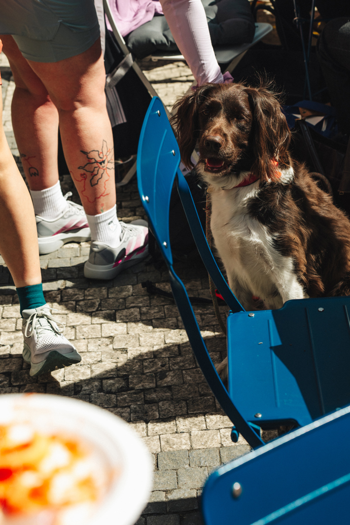 Zalando Run ve spolupráci s Prague Running Crew