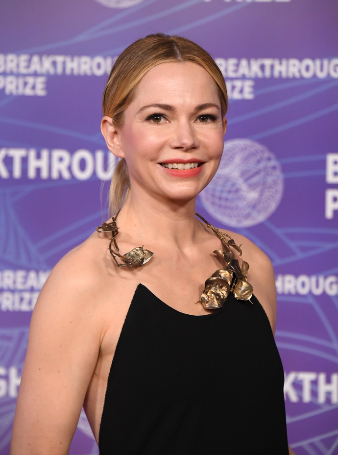  Michelle Williams a civilní interpterace sleek low pony