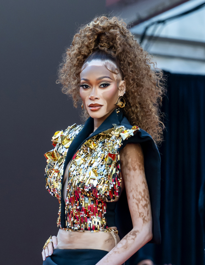  Winnie Harlow v textured pony