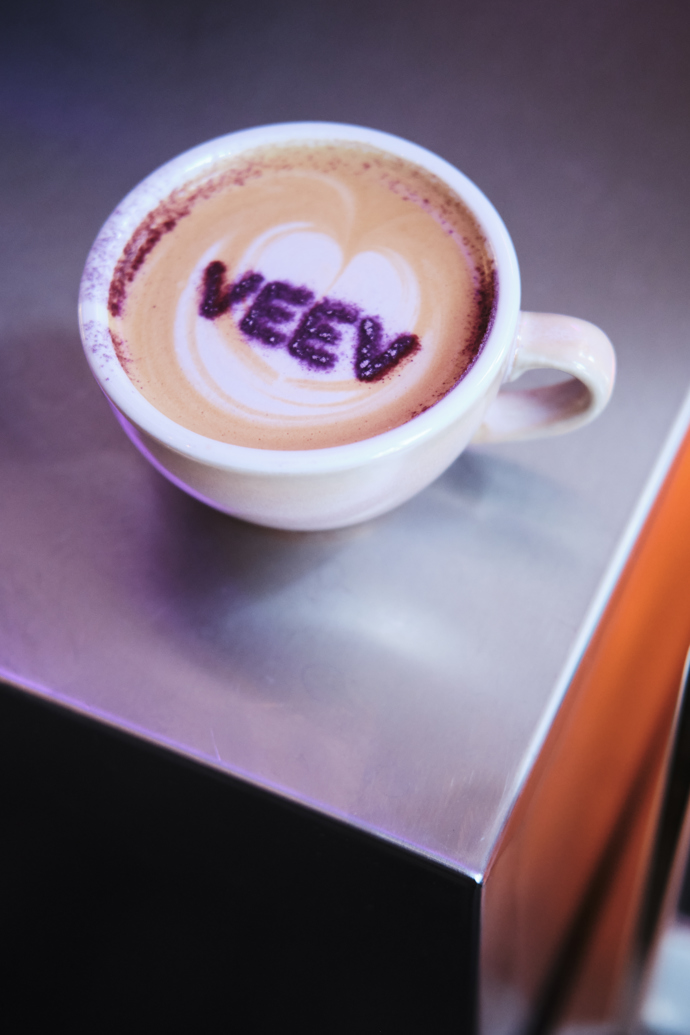 Veev One Brunch Rave Party