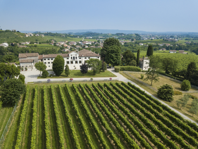 Villa Morona Mionetto