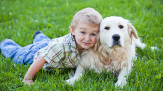 Někteří psi s dětmi vycházejí mnohem lépe než jiní.