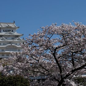 22. Hrad Himedži (Himedži, Japonsko).