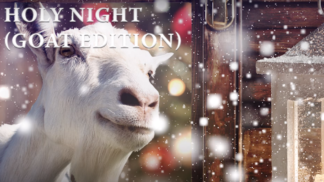 Pod stromeček si přejete kozu. Jen to ještě nevíte.