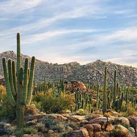 Nejvíc sluníčka: Arizona. Yuma v Arizoně je podle Guinessovy knihy rekordů nejslunečnější město na světě (slunce zde svítí v průměru 11 hodin denně).