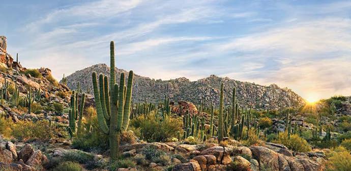 Nejvíc sluníčka: Arizona. Yuma v Arizoně je podle Guinessovy knihy rekordů nejslunečnější město na světě (slunce zde svítí v průměru 11 hodin denně).