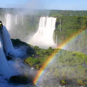 Nejvíc tropických lesů: Brazílie. Jejich celková plocha činí téměř půl milionu kilometrů čtverečních.