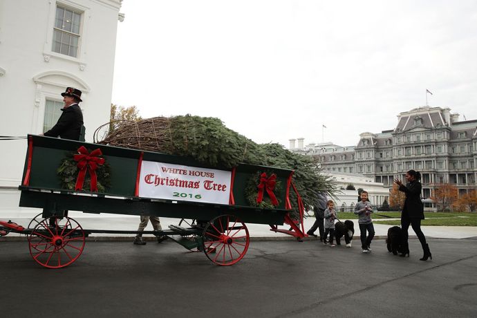 Vánoční stromeček pochází z Pensylvánie. Jde o zhruba 5,7 metrů vysokou douglasku.