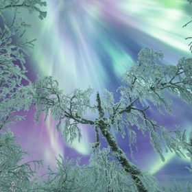 3. Laponská zima je mnohem barevnější než ta naše.