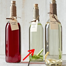 2) Vodka s příchutí okurky a limetky – přidáme do vodky limetkovou kůru na proužky a okurku, kterou jsme předtím oloupali a nakrájeli na 0,5cm kolečka. Louhujeme 24 hodin. Před uzavřením přidáme pár kousků okurkové kůry do lahve.