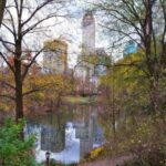 3. Central Park (New York, Spojené státy americké).