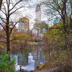 3. Central Park (New York, Spojené státy americké).