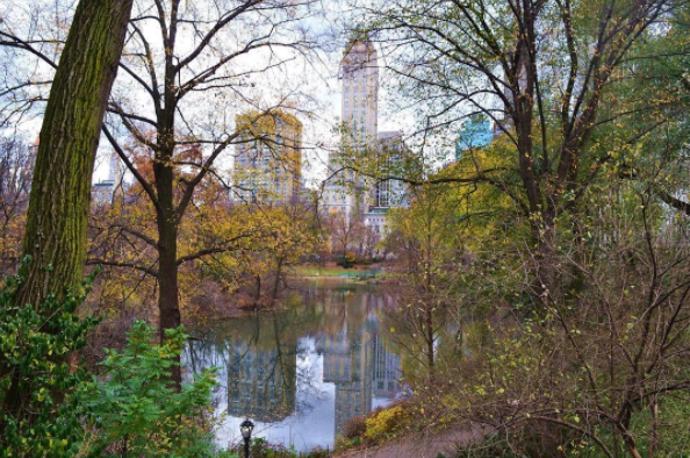 3. Central Park (New York, Spojené státy americké).