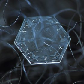 28 neuvěřitelných snímků sněhových vloček