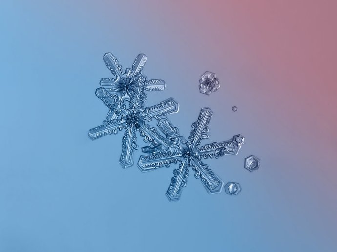 28 neuvěřitelných snímků sněhových vloček