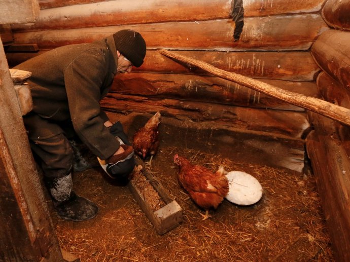 Mikhail chová spoustu domácích zvířat.