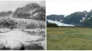 Pedersen Glacier (Aljaška), léto 1917 – léto 2005.