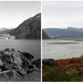 Carroll Glacier (Aljaška), srpen 1906 – září 2003.