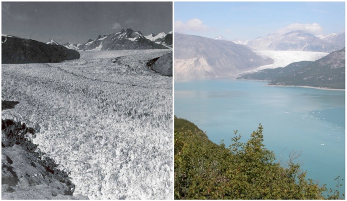 Muir Glacier (Aljaška), srpen 1941 – srpen 2004.