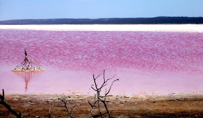 15. Pink Lake (Austrálie).
