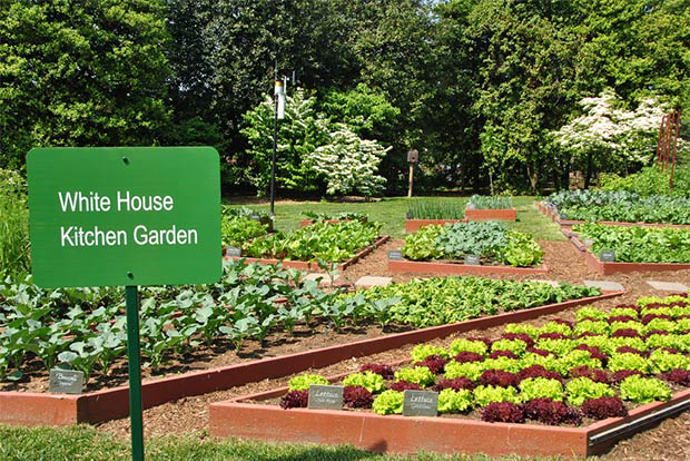 5. Věci starého prezidenta jsou transportovány pomocí vojenských nákladních letadel. Tedy za předpokladu, že jeho nové bydliště není vzdálené pár kilometrů.