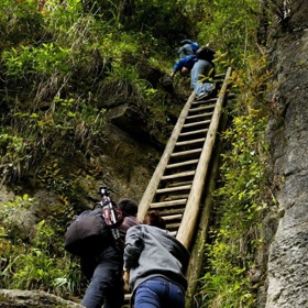 Že nejsou jištěné? Absence neomlouvá.