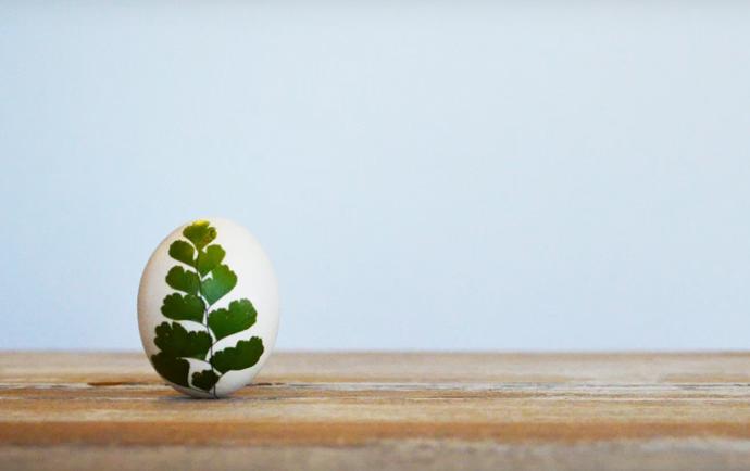 Výroba těchto velikonočních vajíček je opravdu jednoduchá a potřebujete na ni čtyři až pět věcí podle libosti.