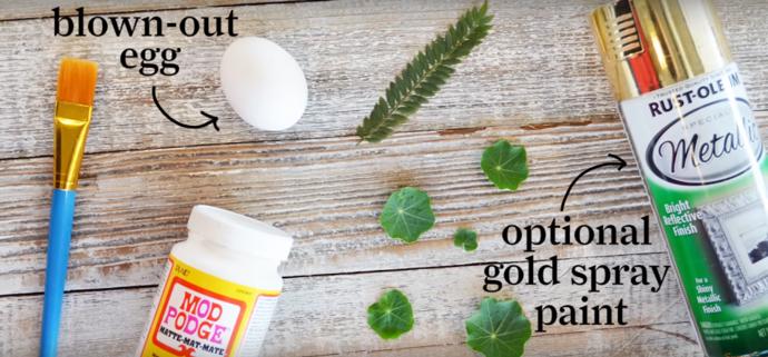 Neobejdete se pochopitelně ani bez vajec. Pro botanické kraslice zvolte vyfouknutá. Před zdobením se ještě ujistěte, že máte lepidlo a lak v jednom Mod Podge, štětec pro jeho nátěr a případně barvu ve spreji.