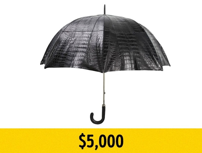 7. Deštník z krokodýlí kůže. Teď už jen zbývá, aby nebe začalo ždímat zlaté kapky. Nejdražší deštník na světě prodává značka Billionaire Couture, založená miliardářem Flaviem Briatorem, za 124 000 Kč.