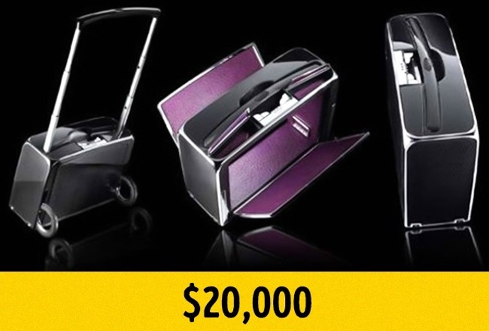 8. Kufr na elektrický pohon. Vypadá docela obyčejně. Což je výhoda proti zlodějům. Ve skutečnosti totiž jeho struktura ukrývá luxusní materiály, jako eben, koňskou hřívu, titanium, hořčík, uhlíková vlákna, plachtovinu a nejrůznější druhy kůže. Za 500 000 Kč může být váš.