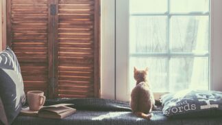 Domov je místo, do kterého se vždycky rádi vracíme.