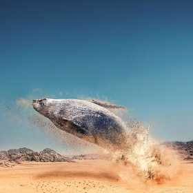 Plachetnice odlétá za pět minut! Jste připraveni? ptá se autor dechberoucích koláží