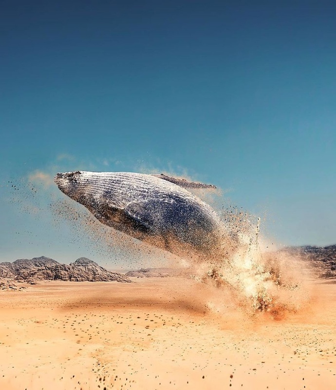 Plachetnice odlétá za pět minut! Jste připraveni? ptá se autor dechberoucích koláží