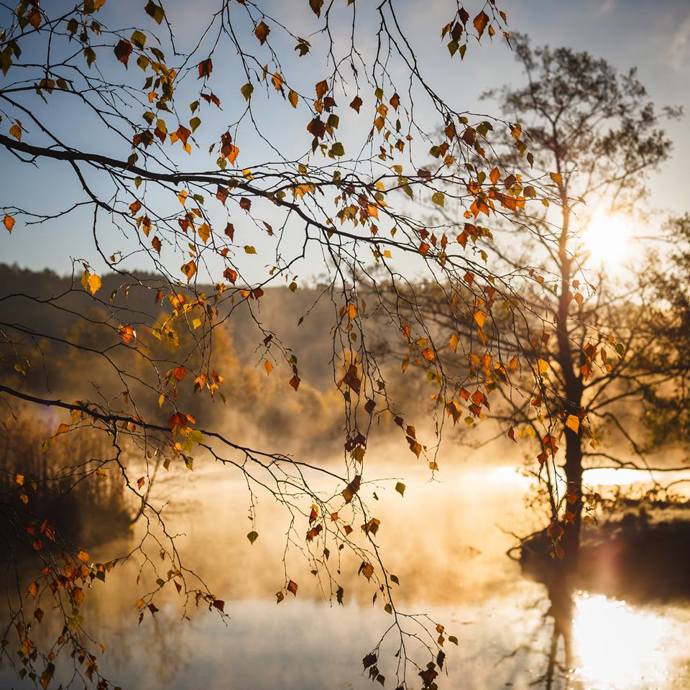Podzim ve Švédsku.
