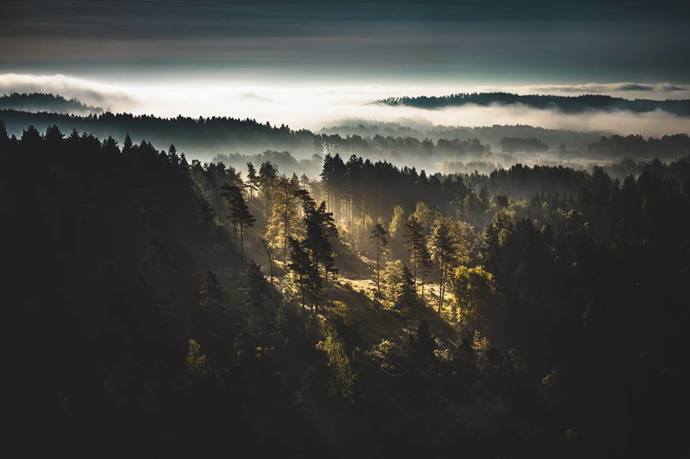 Mlha se ve Švédsku drží 20 až 60 dní v roce.