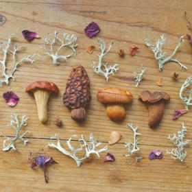 Zastyděla by se, kdyby pecku, něco tak jedinečného, vyhodila na kompost. Rozhodla se ji ponechat, dokud nezjistí, jak s ní naložit.