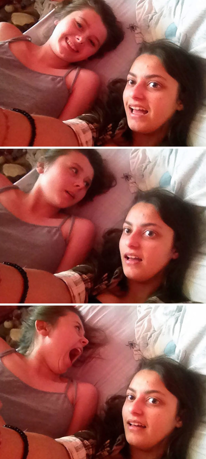 Tady pavouček by rád také pěknou fotku...