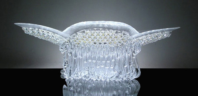 GALERIE: Tyhle medúzy si s radostí pustíte k tělu. Nežahají a jsou nad všechny konferenční stolky